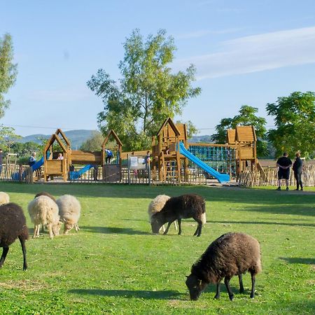 Maison Avec Piscine Location De Vacances Ferme Pedagogique Du Dolmen Le Pouget Εξωτερικό φωτογραφία