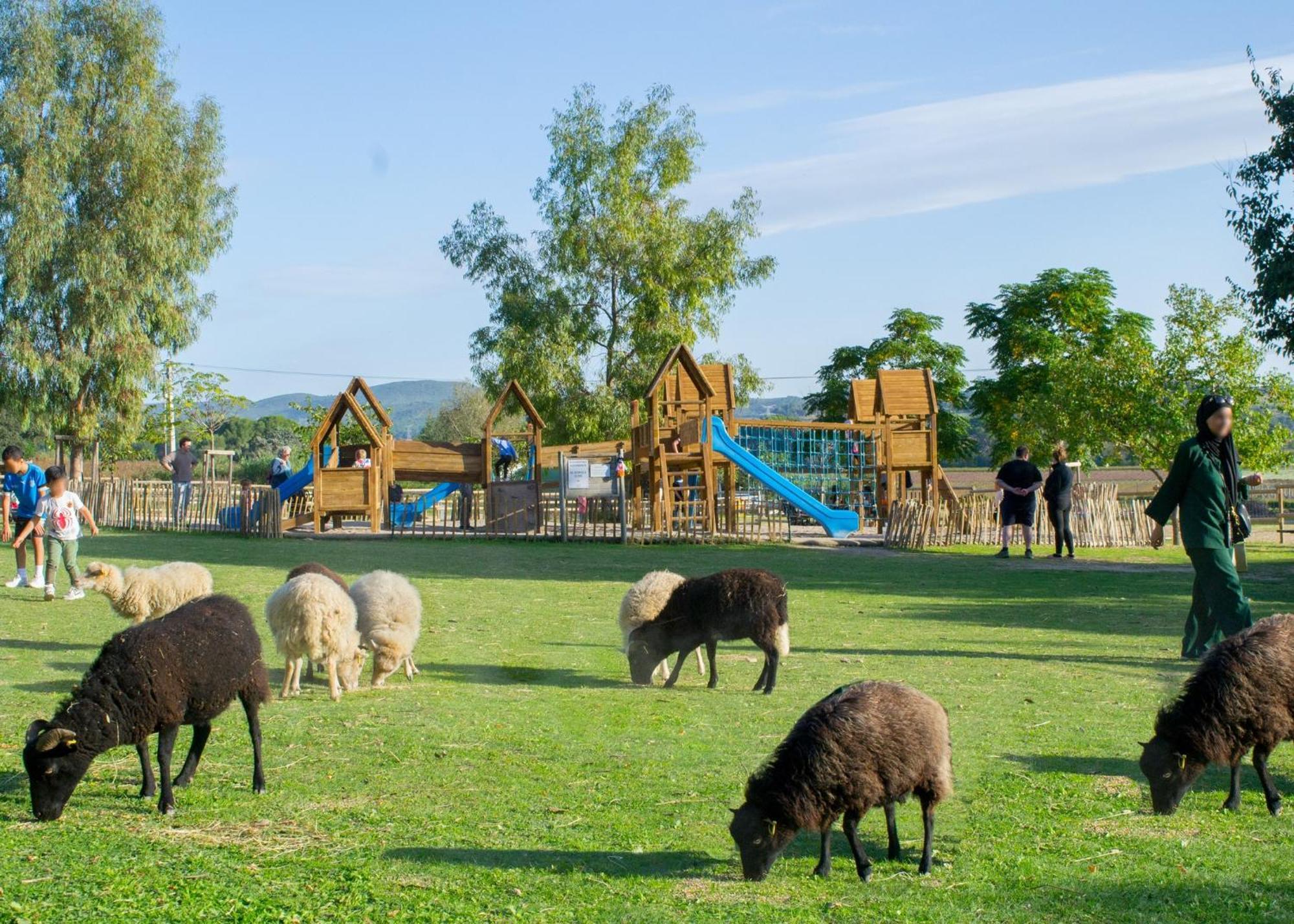 Maison Avec Piscine Location De Vacances Ferme Pedagogique Du Dolmen Le Pouget Εξωτερικό φωτογραφία